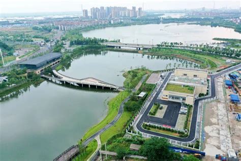 2017年岳阳市名牌产品新鲜出炉 新港区企业荣誉上榜