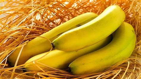 减肥能把香蕉当主食吃吗 减肥的人能吃香蕉吗 _八宝网