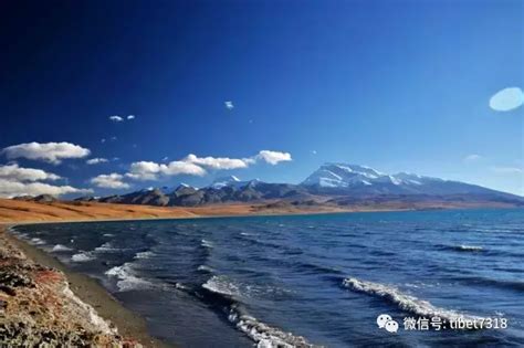 西藏阿里：高原夏日生机盎然_时图_图片频道_云南网