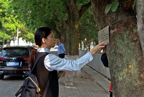 校园树木铭牌安设活动：植树之日，以树之名-汕头大学资源管理处