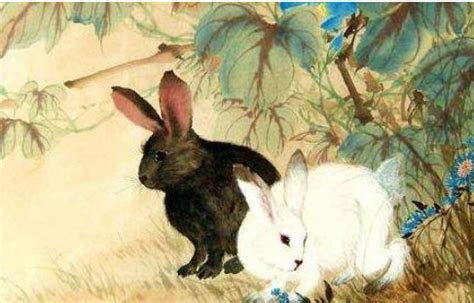 兔和龙配婚姻好不好能白头到老吗 属兔属龙适合做夫妻吗