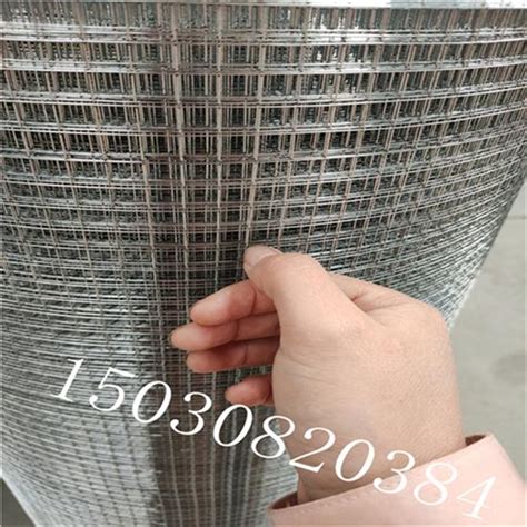 镀锌电焊网 - 衡水鑫耐丝网公司