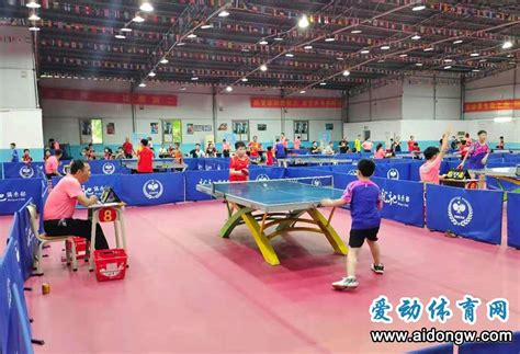 海口包揽女子两项冠军！2021年海南省少年乒乓球赛（U12）收拍_乒乓球_其它赛事_爱动体_专注您身边的体育