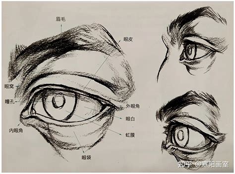 美术技巧：画好速写中人物静态之美“眼睛” - 知乎