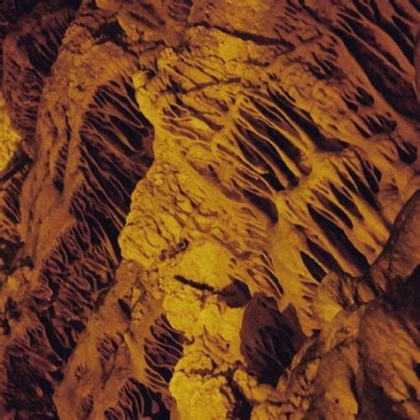 阿尔塔米拉洞窟 - 快懂百科