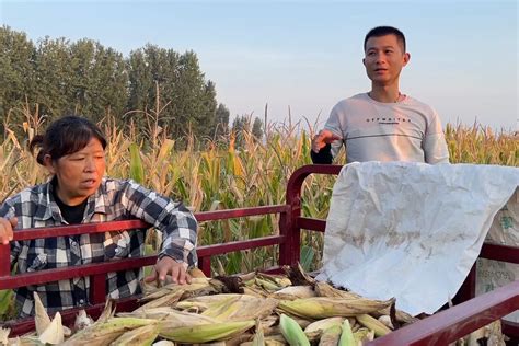 吃玉米的爸爸和儿子高清图片下载-正版图片502089405-摄图网