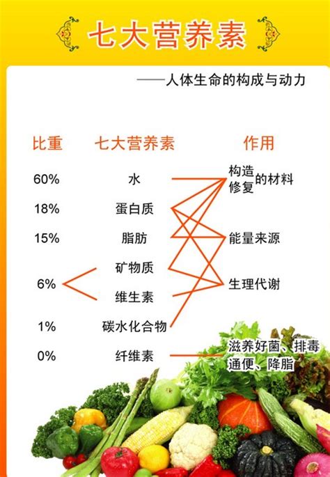 绿色蔬菜的营养价值与做法，绿色蔬菜说明书