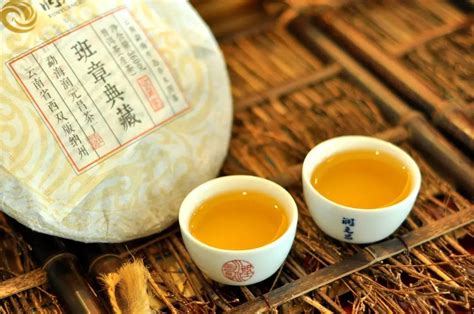 勐海布朗古树白茶 滋味香醇 甜韵明显 350克云南白茶 老树 大叶种-藏锋号古茶