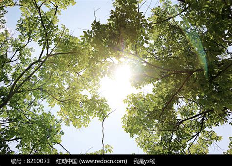 阳光夏日太阳云朵气象元素素材下载-正版素材401077611-摄图网