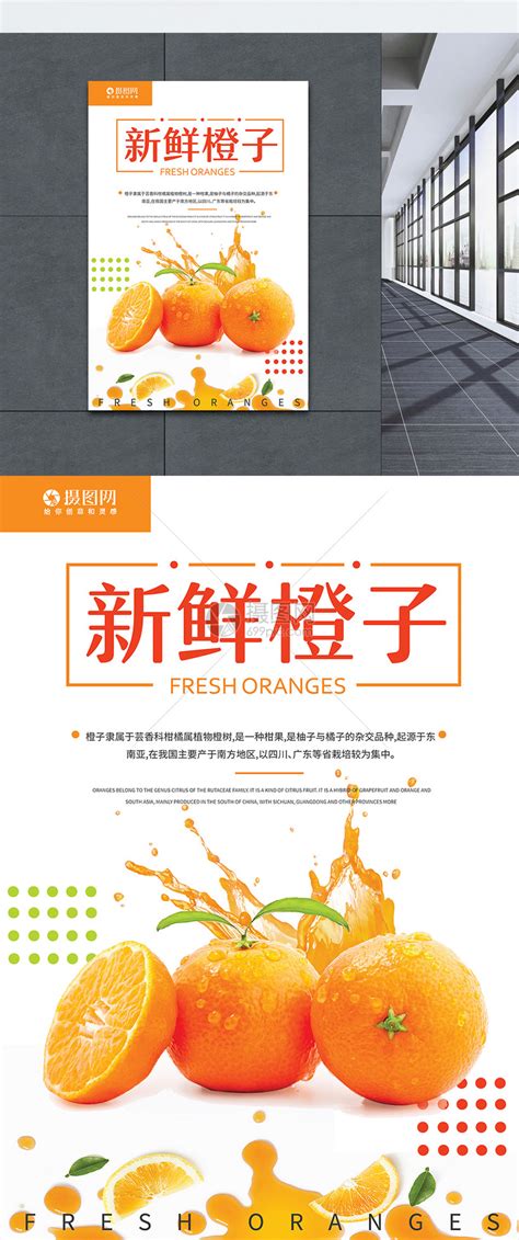 橙子活动PSD+AI广告设计素材海报模板免费下载-享设计