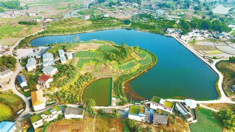 自贡大安区“三大产业”取得新进展--四川经济日报