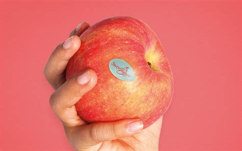 一个水果品牌设计提案|平面|Logo|Ruan设计 - 原创作品 - 站酷 (ZCOOL)