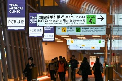 日本入境最新政策2022年11月_旅泊网