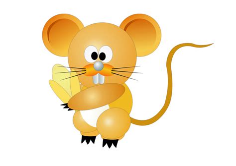 1984年属鼠的人2017年运程完整版_起名网