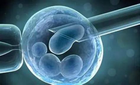 详细的聊一聊胚胎究竟怎么分级的？ - 知乎