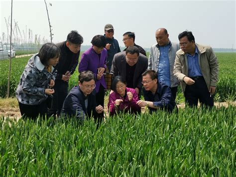 濮阳市自然资源和规划局信息化项目规划设计方案顺利通过专家评审