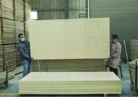 桐木拼板,墙壁板,东明县森源木业有限公司
