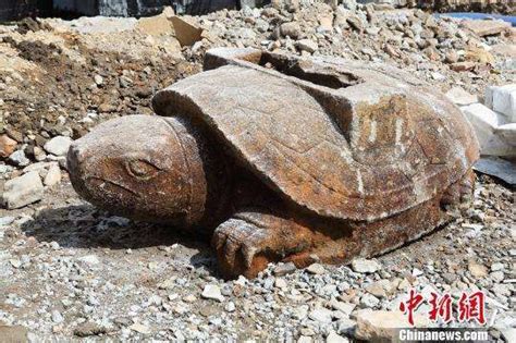 神龟！郓城挖出距今七百多年的驮碑赑（bì）屃（xì）-搜狐大视野-搜狐新闻