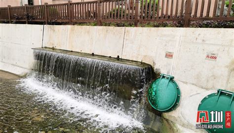 江西：防旱抗旱进行时 | 湖口 节水配套改造 精准高效灌溉