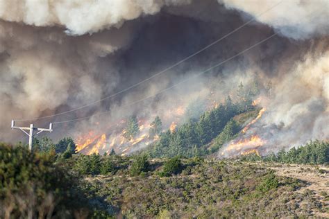 加州72小时遭上万次雷击引发火灾 农场动物被转移