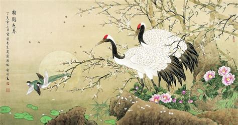 湖湘自然历丨黄鹤为何“一去不复返” - 湖南印象 - 湖南在线 - 华声在线