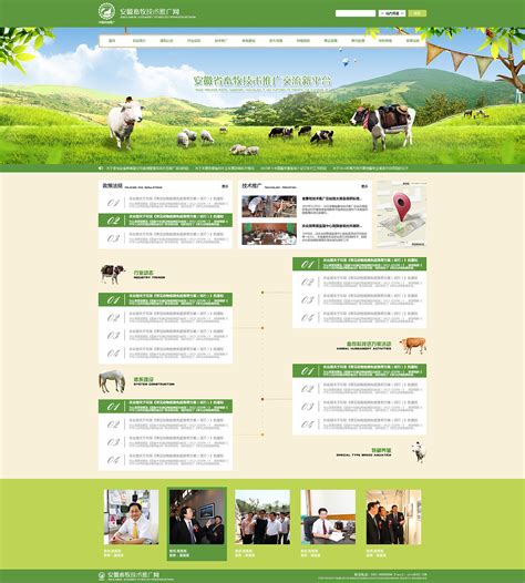 畜牧类 绿色 企业网站|网页|企业官网|潇潇暮雨歇 - 原创作品 - 站酷 (ZCOOL)
