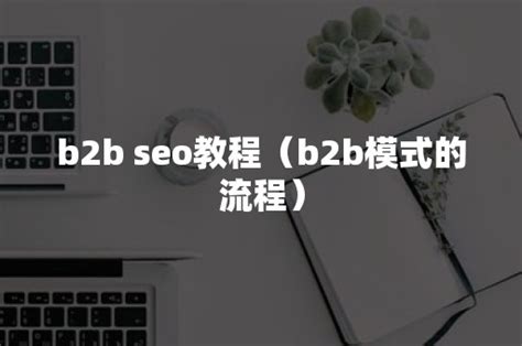 b2b seo教程（b2b模式的流程）-加搜科技