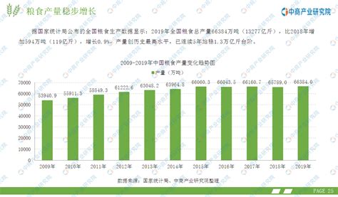 2020年中国粮食行业市场前景及投资研究报告-前沿报告库