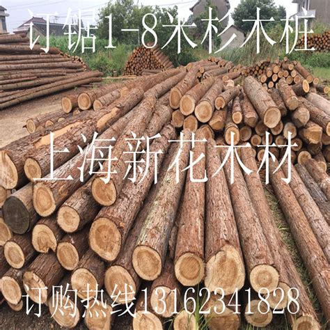 杉原木 - 木材圈