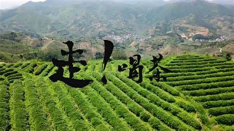 《走！喝茶》中国茶文化纪录片_腾讯视频