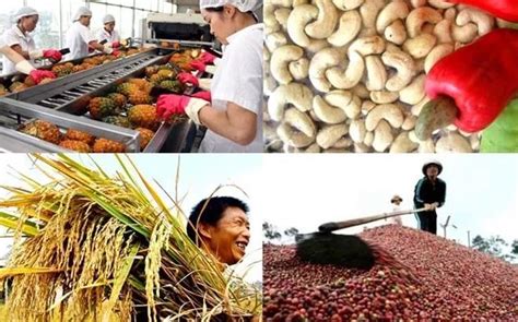 越南农产品在比利时市场深受欢迎