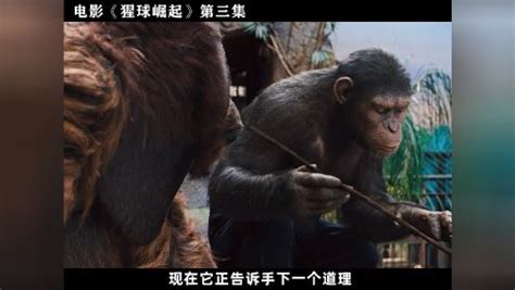 猩猩动画系列：小猴子和大猩猩玩跳跳车玩具_高清1080P在线观看平台_腾讯视频