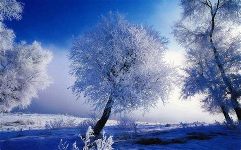描写冬天意境美的诗有哪些（描写冬天景色的古诗） - 驿游百客