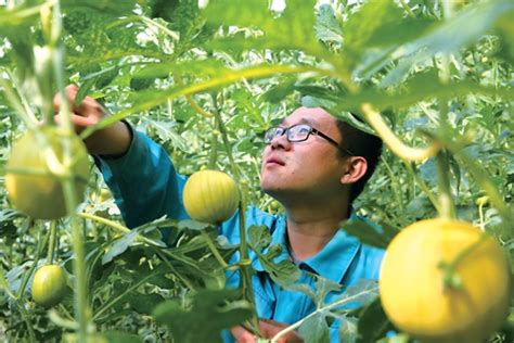 山东东营市加快农业产业结构调整发展优势特色农业产业-中国质量新闻网