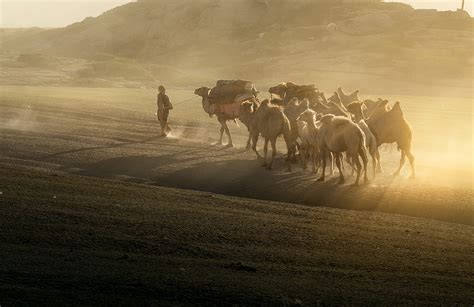 新疆伊犁上演雪地叼羊大赛 牧民扬鞭催马场面激烈-腾讯网