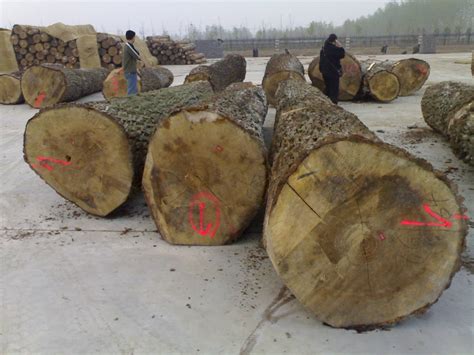 木材加工 - 兰州海天木材有限公司