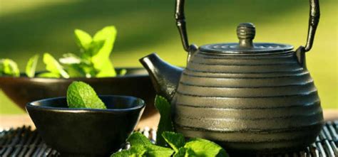 女人喝绿茶的好处和坏处_绿茶的功效是什么-排行榜