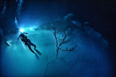 电影《深海》也释出一组新剧照，预售已开启，将于大年初一上映……|深海_新浪新闻