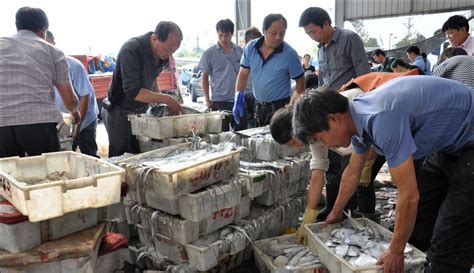 鱼市场上的新鲜鱼鱼片营养餐厅展示海鲜渔场零售饮食海洋美食高清图片下载-正版图片321709476-摄图网