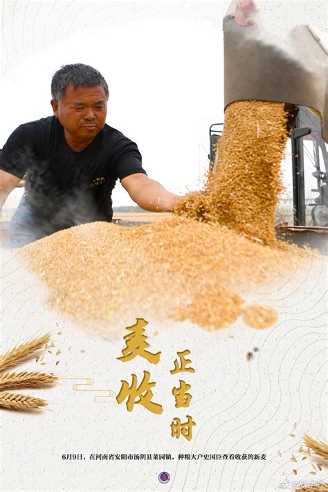 全国大规模小麦跨区机收全面展开 - 农机资讯