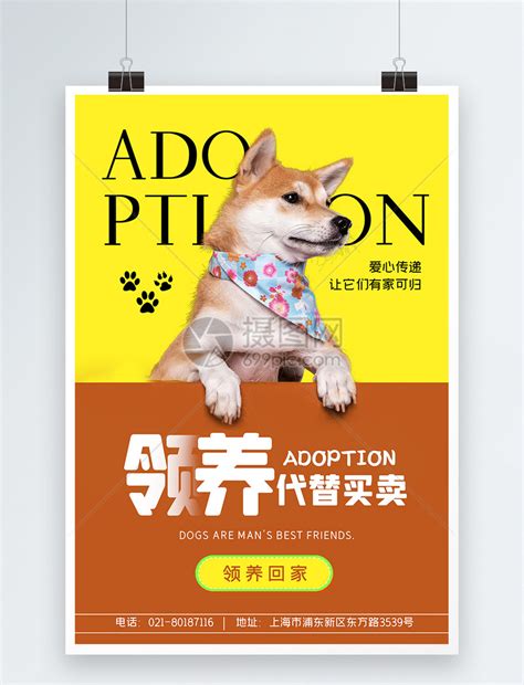 简约创意爱心领养宠物海报/印刷海报-凡科快图