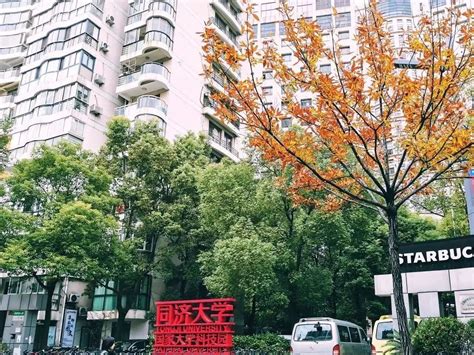 杨浦的科创逆袭之路：老工业区里走出的国家创新型试点城区-上海中创产业创新研究院