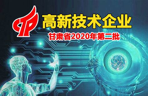 甘肃省2020年第二批拟认定高新技术企业名单(297家)-兰州软件公司