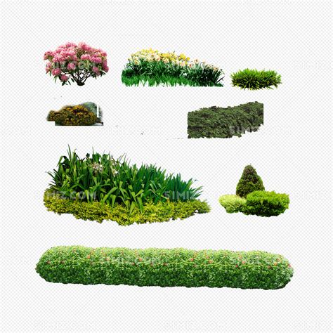 PS彩绘平面植物素材-壹点素材