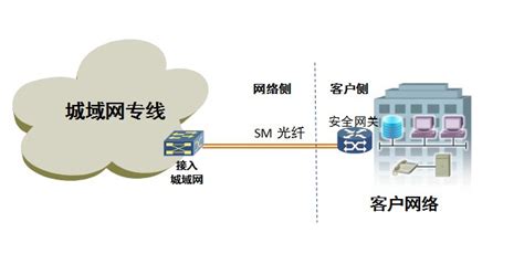 国际互联网组网专线案例介绍-国际专线MPLS-VPN_固定IP上网_香港IPLC专线_云专线加速_互联网专线