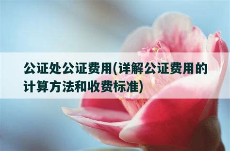 重庆公证服务收费新标准来了 明年1月1日开始执行凤凰网重庆_凤凰网