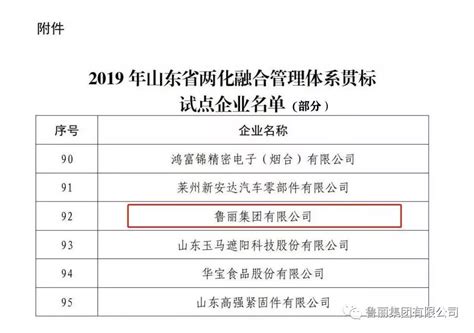 鲁丽集团入选2019年省级两化融合管理体系贯标试点企业名单