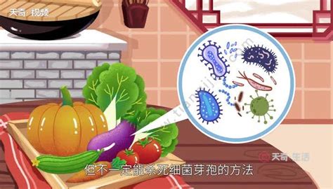 诸城食品机械 净菜加工设备 蔬菜消毒清洗流水线 山东潍坊-食品商务网