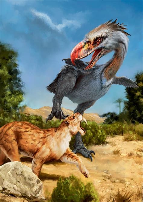 白垩纪的幼鸟为早期鸟类演化提供新的信息----古脊椎动物与古人类研究所
