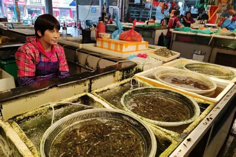 君华活鱼行 - 供求信息 - 青岛市城阳蔬菜水产品批发市场